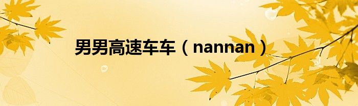 男男高速車車（nannan）