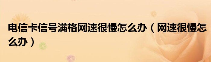 電信卡信號(hào)滿格網(wǎng)速很慢怎么辦（網(wǎng)速很慢怎么辦）