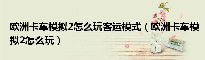 歐洲卡車模擬2怎么玩客運(yùn)模式（歐洲卡車模擬2怎么玩）
