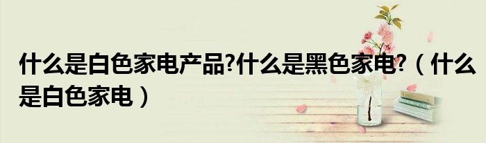 什么是白色家電產(chǎn)品?什么是黑色家電?（什么是白色家電）
