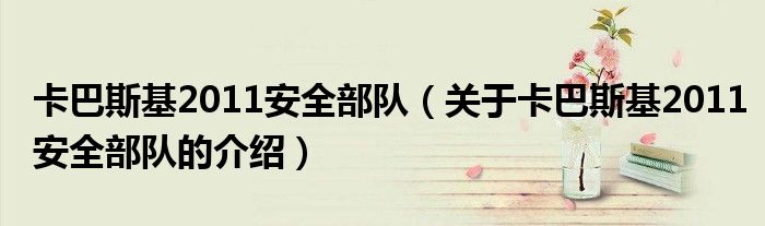 卡巴斯基2011安全部隊(duì)（關(guān)于卡巴斯基2011安全部隊(duì)的介紹）