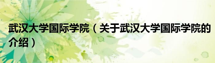 武漢大學(xué)國(guó)際學(xué)院（關(guān)于武漢大學(xué)國(guó)際學(xué)院的介紹）