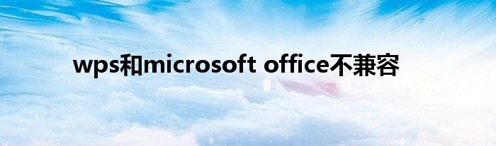 wps和microsoft office不兼容