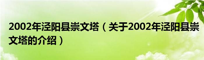 2002年涇陽縣崇文塔（關(guān)于2002年涇陽縣崇文塔的介紹）