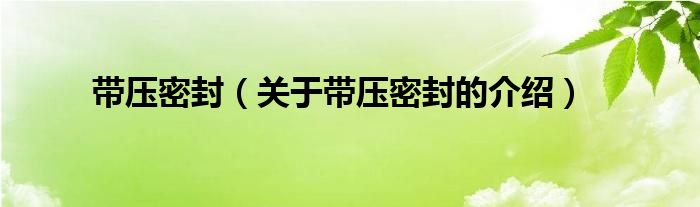 帶壓密封（關(guān)于帶壓密封的介紹）