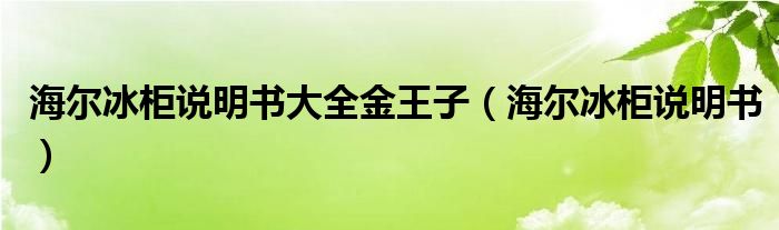 海爾冰柜說明書大全金王子（海爾冰柜說明書）