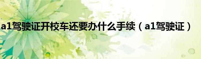a1駕駛證開校車還要辦什么手續(xù)（a1駕駛證）