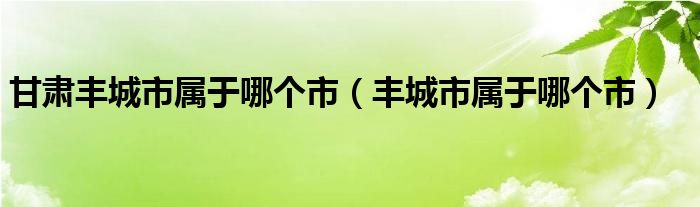 甘肅豐城市屬于哪個(gè)市（豐城市屬于哪個(gè)市）