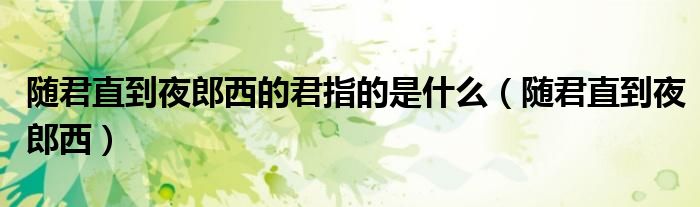 隨君直到夜郎西的君指的是什么（隨君直到夜郎西）