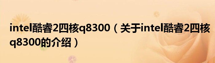 intel酷睿2四核q8300（關(guān)于intel酷睿2四核q8300的介紹）