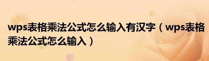 wps表格乘法公式怎么輸入有漢字（wps表格乘法公式怎么輸入）