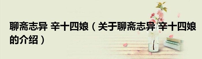 聊齋志異 辛十四娘（關(guān)于聊齋志異 辛十四娘的介紹）