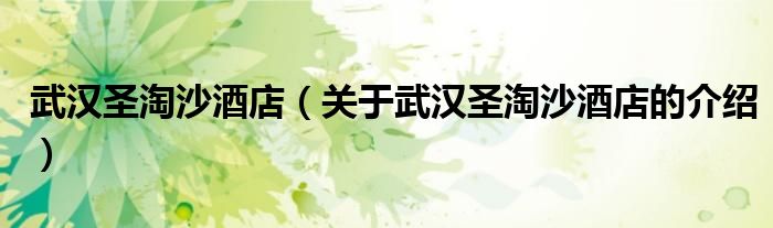 武漢圣淘沙酒店（關(guān)于武漢圣淘沙酒店的介紹）