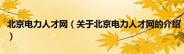 北京電力人才網(wǎng)（關于北京電力人才網(wǎng)的介紹）