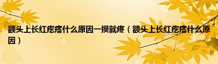 額頭上長紅疙瘩什么原因一摸就疼（額頭上長紅疙瘩什么原因）