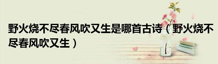 野火燒不盡春風(fēng)吹又生是哪首古詩（野火燒不盡春風(fēng)吹又生）