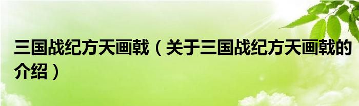 三國(guó)戰(zhàn)紀(jì)方天畫戟（關(guān)于三國(guó)戰(zhàn)紀(jì)方天畫戟的介紹）