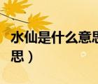 水仙是什么意思網(wǎng)絡(luò)用語男男（水仙是什么意思）