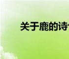 關(guān)于鹿的詩(shī)句 吉祥（關(guān)于鹿的詩(shī)句）