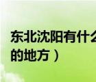 東北沈陽(yáng)有什么好玩的地方（沈陽(yáng)有什么好玩的地方）