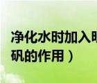 凈化水時加入明礬的作用是什么（凈化水加明礬的作用）