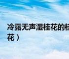 冷露無聲濕桂花的桂花有哪兩層意思（冷露無聲濕桂花的桂花）