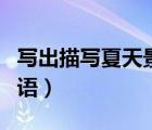 寫(xiě)出描寫(xiě)夏天景色的詞語(yǔ)（描寫(xiě)夏天景色的詞語(yǔ)）
