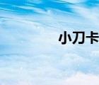 小刀卡盟網(wǎng)站（小刀卡盟）
