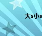 大s小s年輕照片（大s小s）
