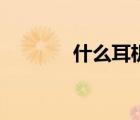 什么耳機(jī)好用（什么耳機(jī)好）
