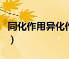 同化作用異化作用概念（同化作用與異化作用）