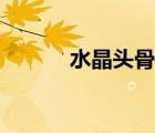 水晶頭骨的秘密（水晶人頭骨）