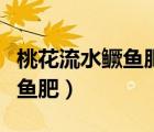 桃花流水鱖魚肥的上一句是什么（桃花流水鱖魚肥）