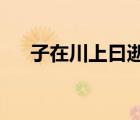 子在川上曰逝者如斯夫不舍晝夜的成語