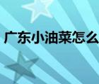 廣東小油菜怎么做好吃（小油菜怎么做好吃）