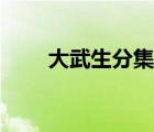 大武生分集劇情（大武生劇情簡介）