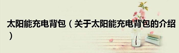 太陽能充電背包（關于太陽能充電背包的介紹）