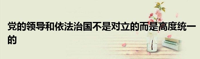 黨的領(lǐng)導(dǎo)和依法治國不是對立的而是高度統(tǒng)一的