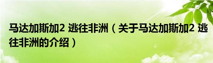 馬達(dá)加斯加2 逃往非洲（關(guān)于馬達(dá)加斯加2 逃往非洲的介紹）