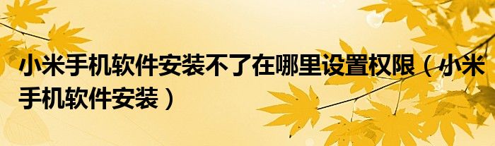小米手機(jī)軟件安裝不了在哪里設(shè)置權(quán)限（小米手機(jī)軟件安裝）
