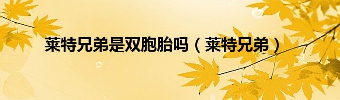 萊特兄弟是雙胞胎嗎（萊特兄弟）