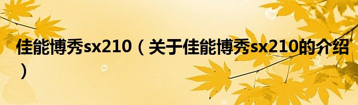 佳能博秀sx210（關(guān)于佳能博秀sx210的介紹）