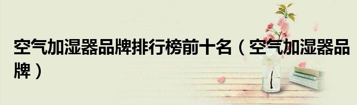 空氣加濕器品牌排行榜前十名（空氣加濕器品牌）