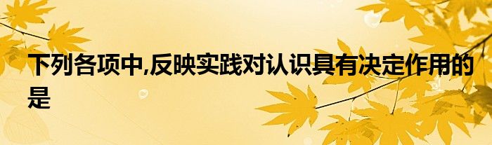 下列各項(xiàng)中,反映實(shí)踐對(duì)認(rèn)識(shí)具有決定作用的是