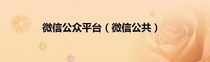 微信公眾平臺（微信公共）