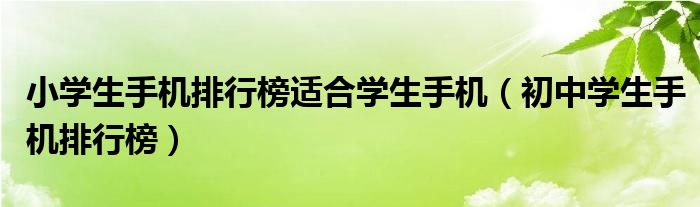小學(xué)生手機(jī)排行榜適合學(xué)生手機(jī)（初中學(xué)生手機(jī)排行榜）