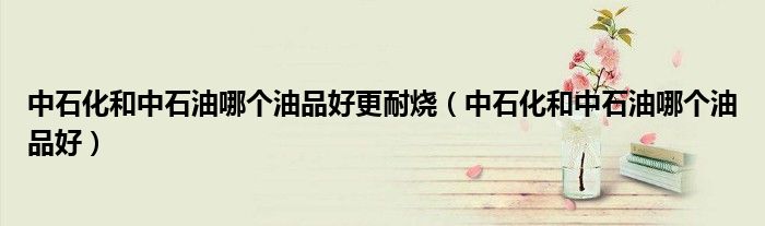 中石化和中石油哪個(gè)油品好更耐燒（中石化和中石油哪個(gè)油品好）