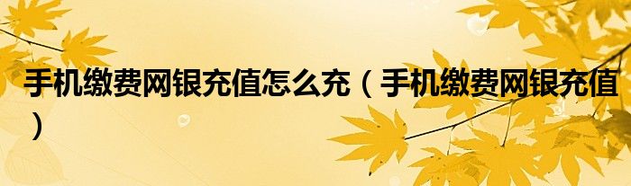 手機(jī)繳費(fèi)網(wǎng)銀充值怎么充（手機(jī)繳費(fèi)網(wǎng)銀充值）