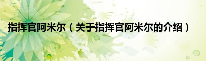 指揮官阿米爾（關(guān)于指揮官阿米爾的介紹）