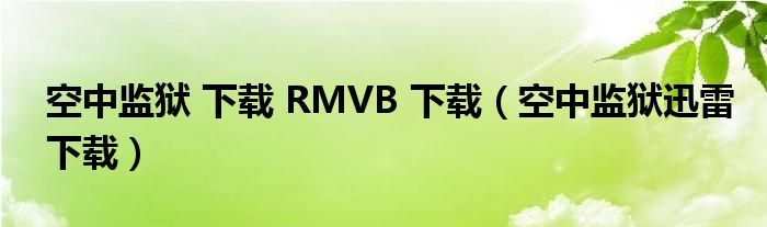 空中監(jiān)獄 下載 RMVB 下載（空中監(jiān)獄迅雷下載）